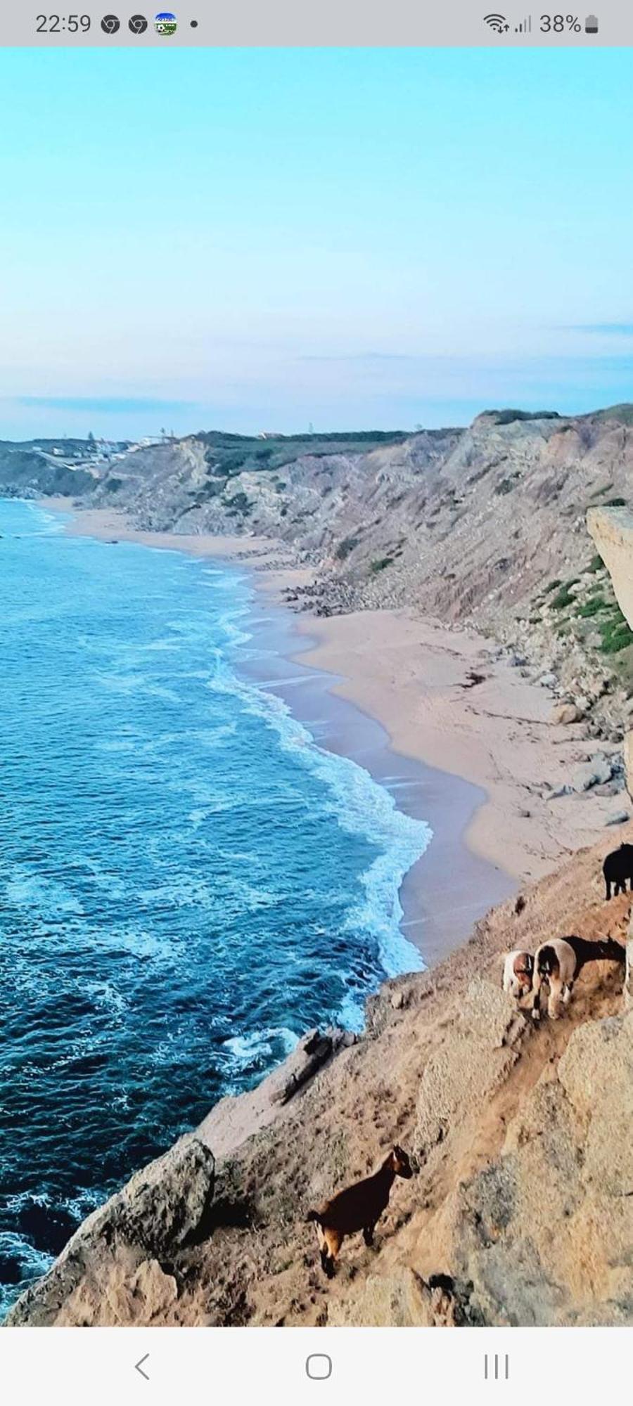Casa Do Portao Azul - Espadarte Atouguia Da Baleia Extérieur photo